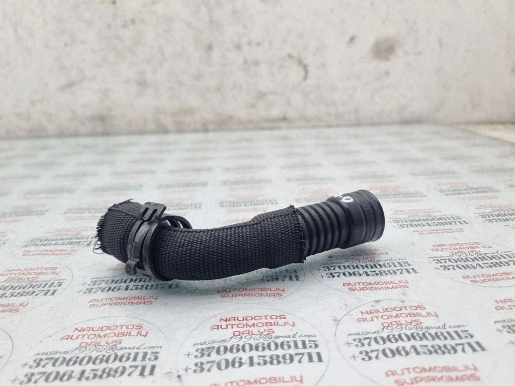 Kartera ventilācija/caurulīte(-s)/šļūtene(-s) 038103493AC