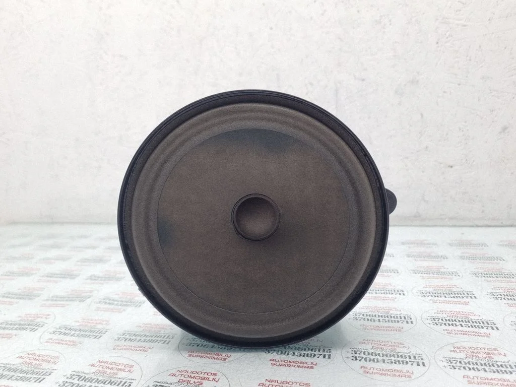 Rear door speaker