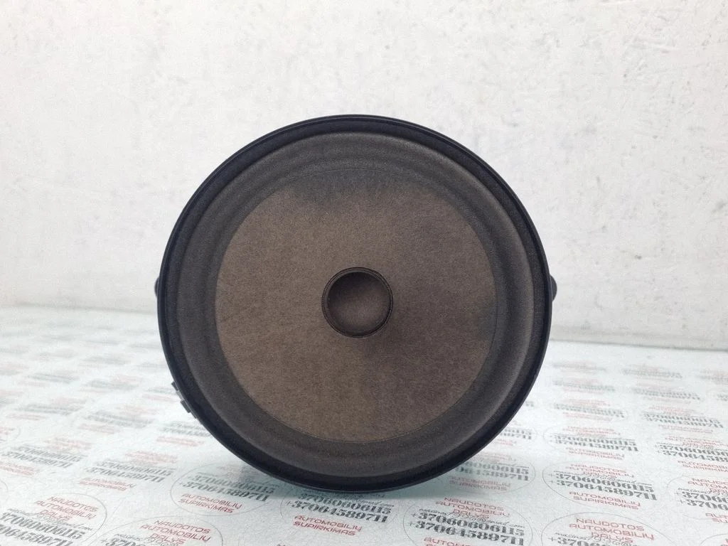 Rear door speaker
