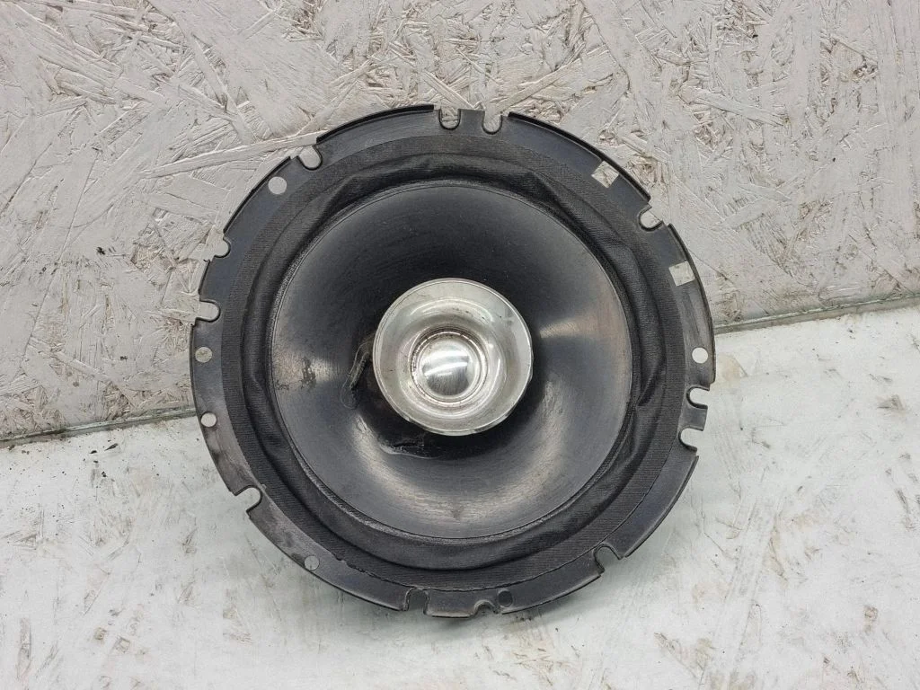 Rear door speaker