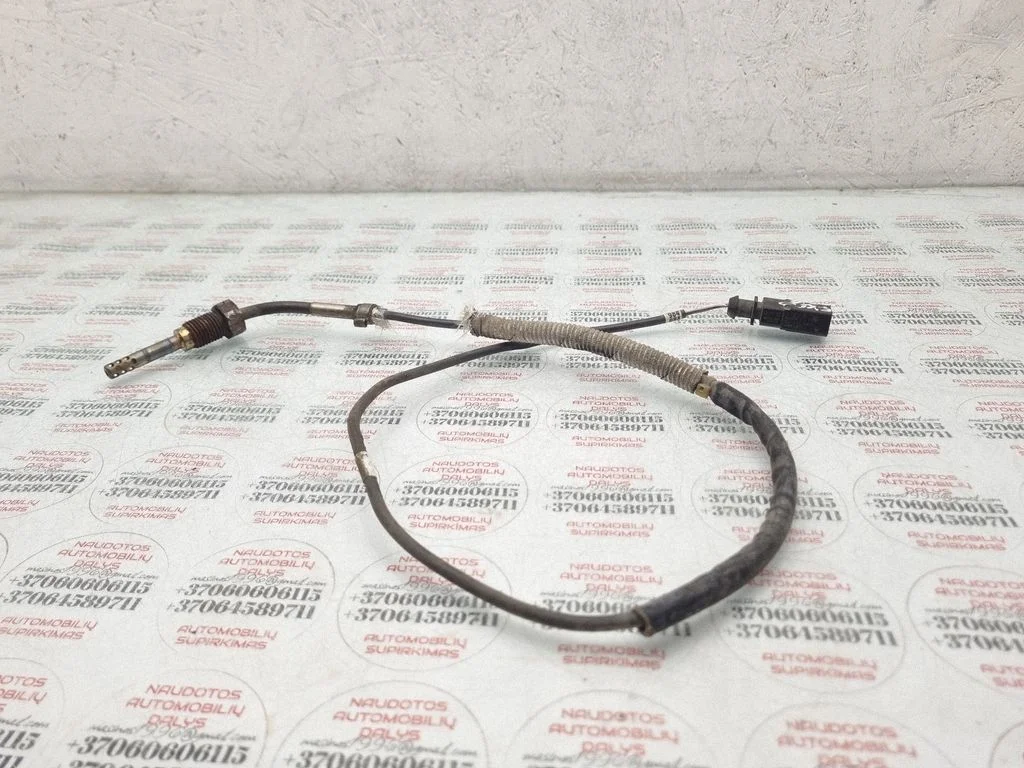 Exhaust gas temperature sensor – Seat Exeo (3R) (2008-2013)