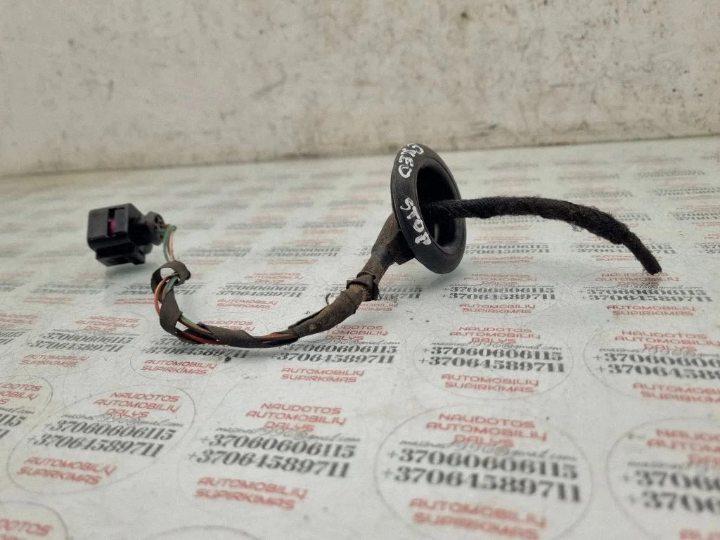 Tagatulede juhtmestik – Seat Exeo (3R) (2008-2013)