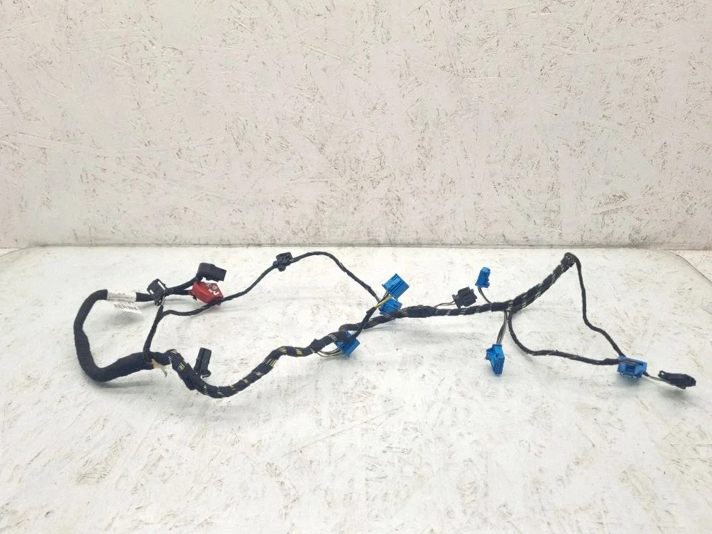 Other wiring loom 663025Z
