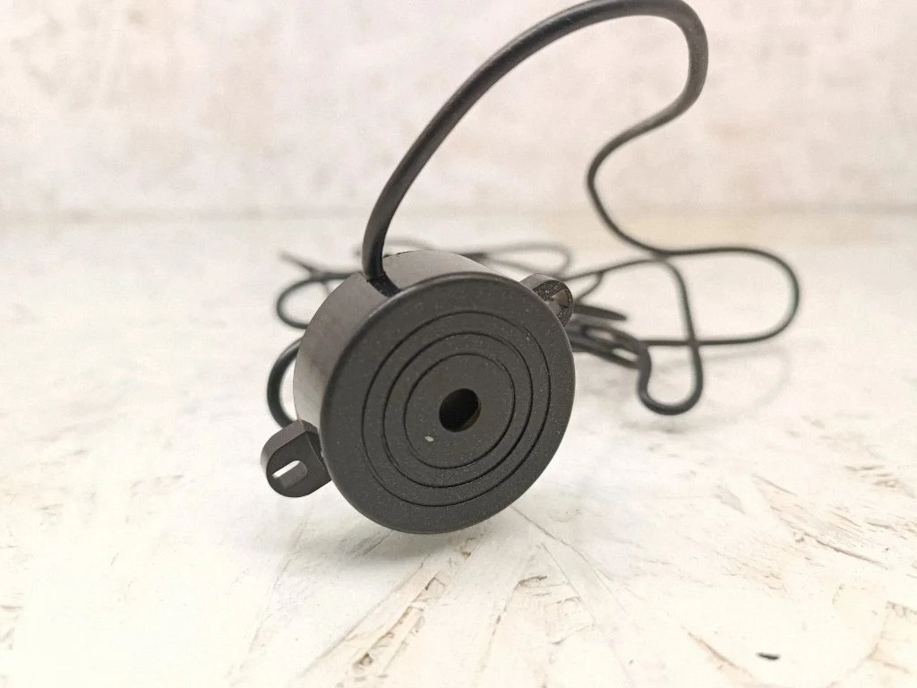 Parking PDC sensor speaker – Volkswagen Passat B6 (2005-2010)