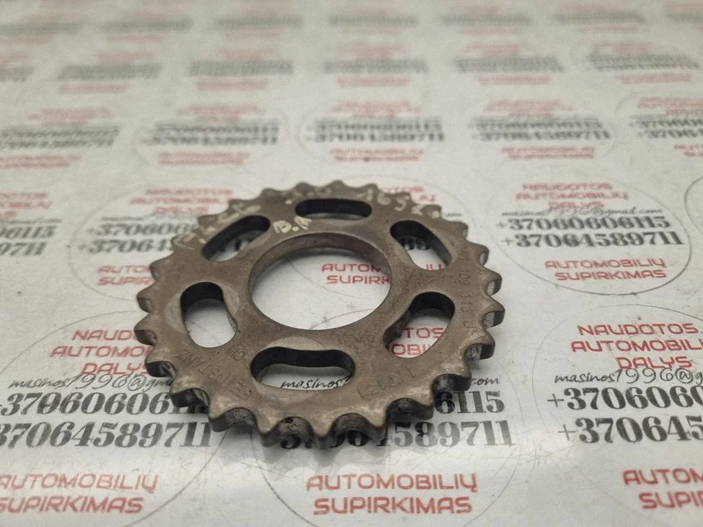 Timing chain sprocket – Audi A6 Allroad C6 (2006-2011)