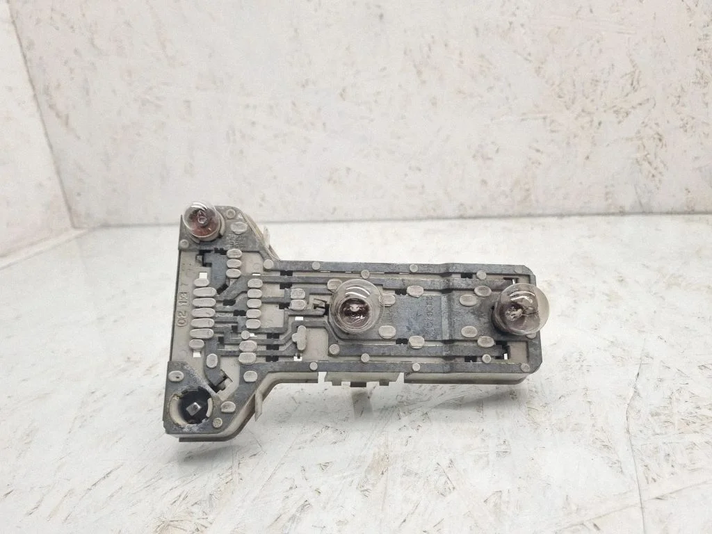 Tail light bulb cover holder – Volkswagen Passat B5 (1997-2000)
