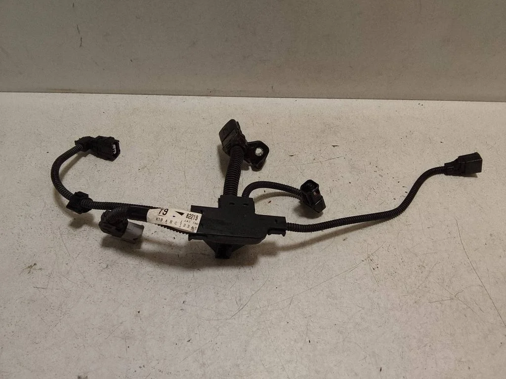 Other wiring loom – Lexus ES 300h (7th Gen) (2018-2025)