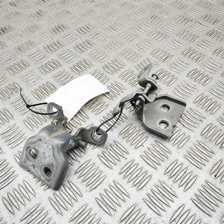 Esiukse hingede komplekt 804207876R