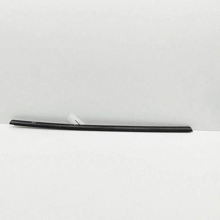 Rear door glass trim molding – Tesla Model Y (2020-)