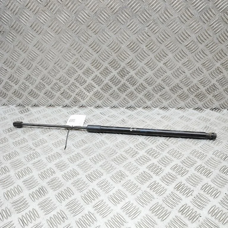 Tagaluugi gaasiamortisaator 904527379R