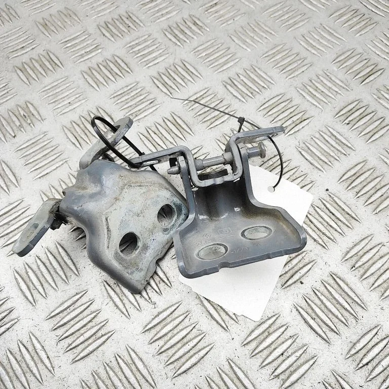 Tagaukse hingede komplekt 804207876R