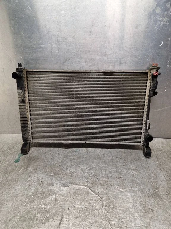 Jahutusvedeliku radiaator A1695001703