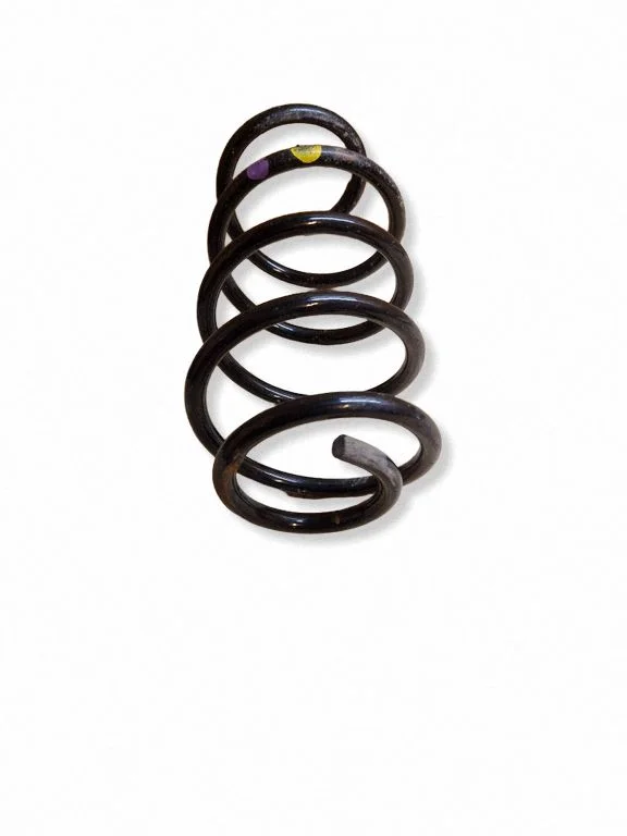 Front coil spring