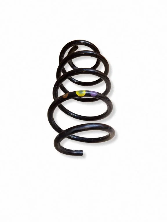 Front coil spring