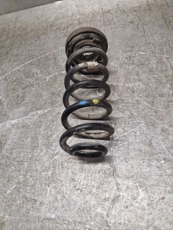 Rear coil spring