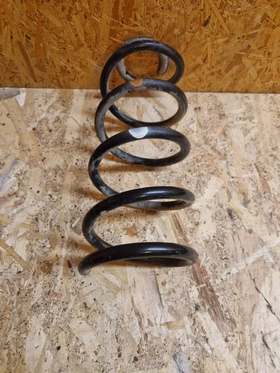 Rear coil spring
