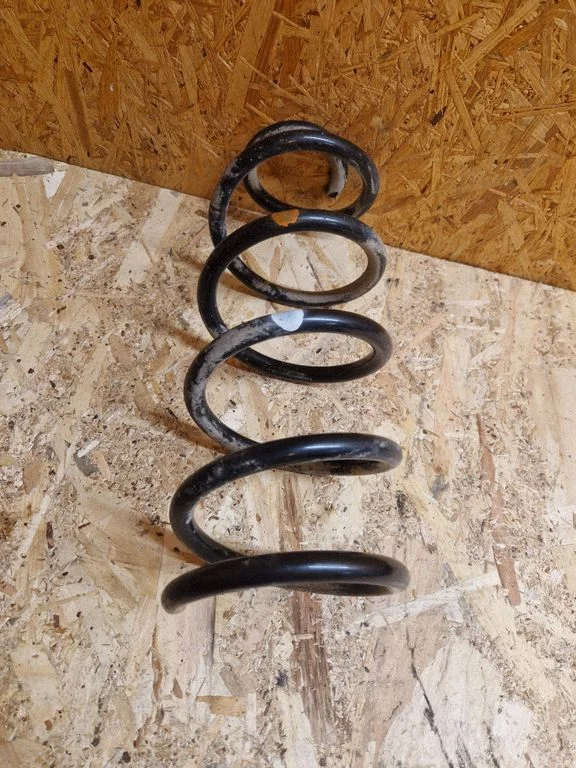 Rear coil spring