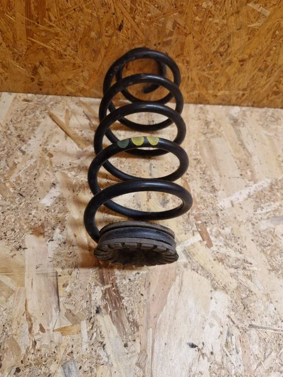 Rear coil spring