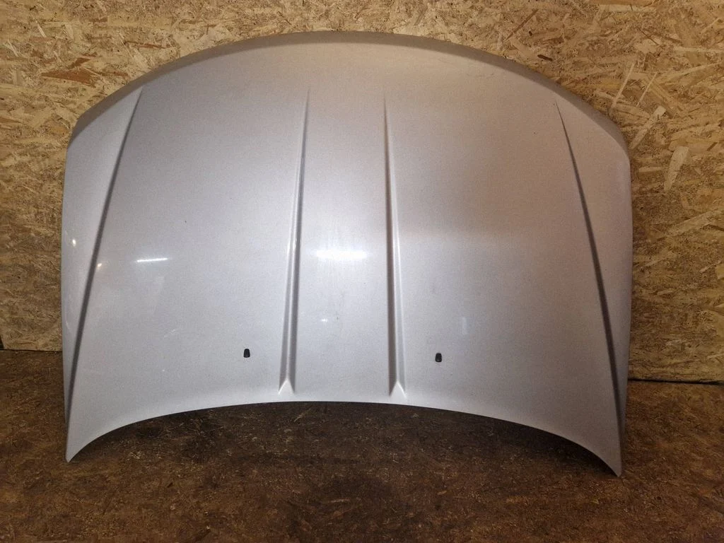 Engine bonnet/hood
