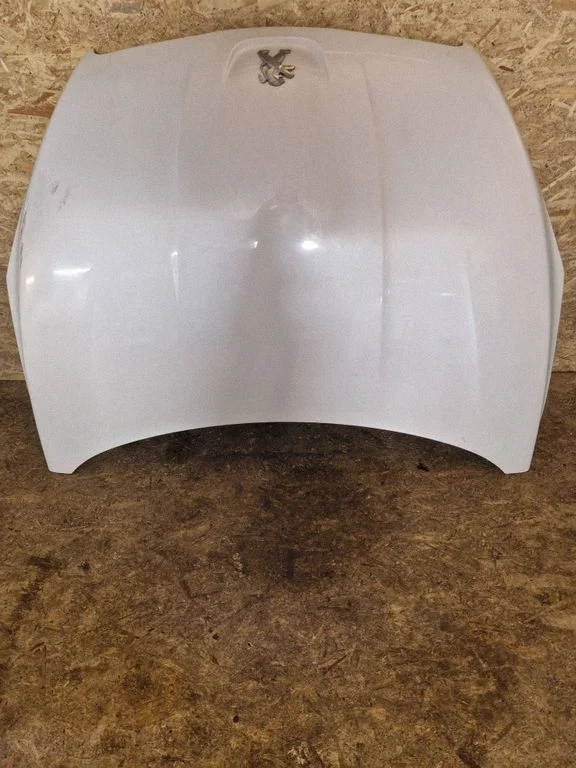 Engine bonnet/hood