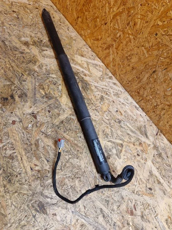 Tailgate/trunk strut/damper EM2BR402A55AB
