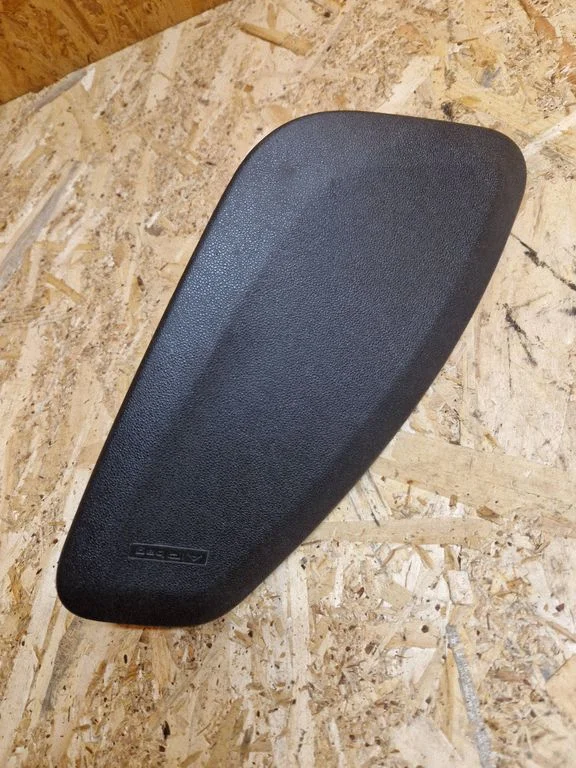 Seat airbag 1005184