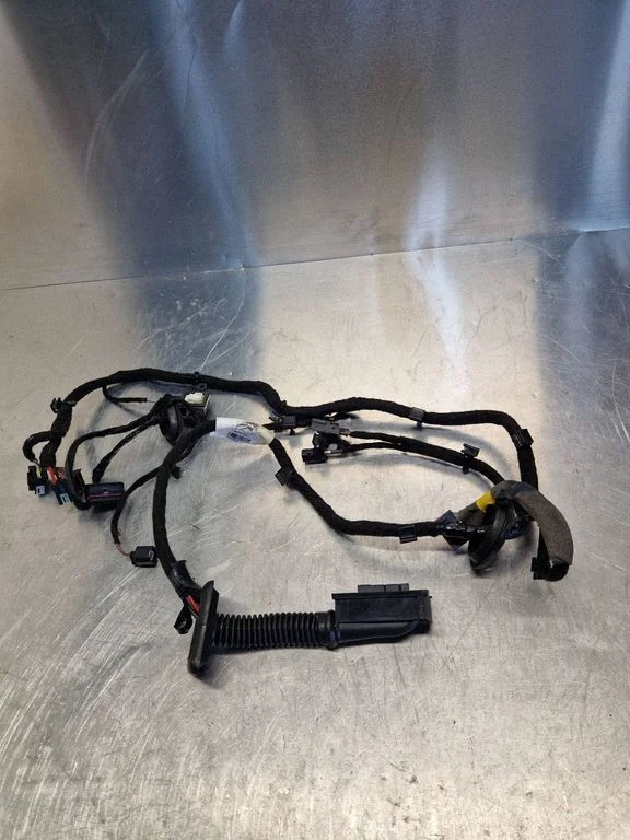 Rear door wiring loom P31678570