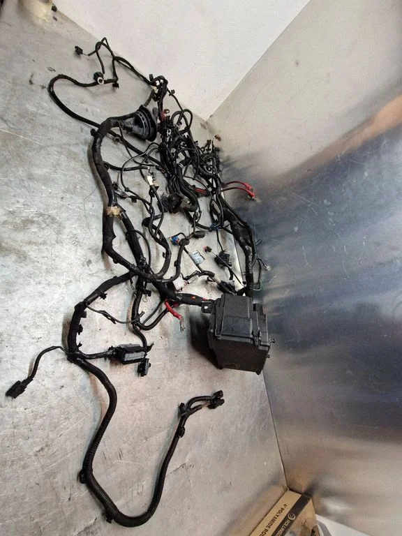 Engine installation wiring loom 243503708R