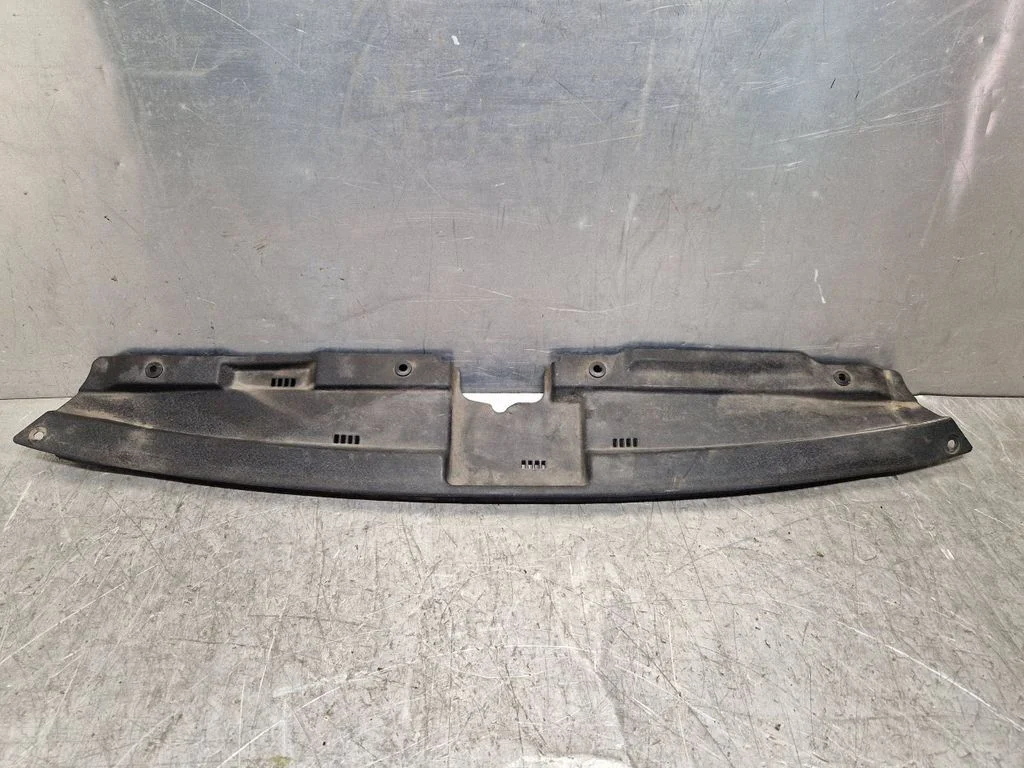 Radiator trim A286570000