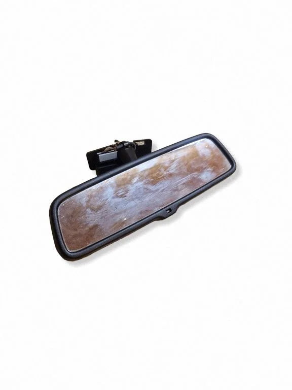 Rear view mirror (interior) 13481121