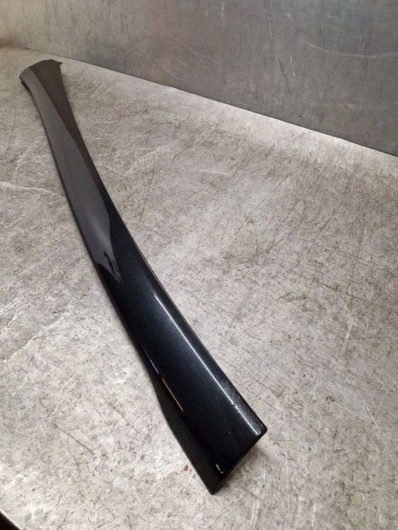 Windshield trim 20808480