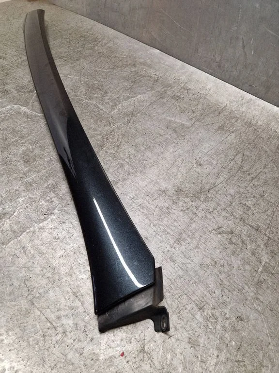 Windshield trim 20808479