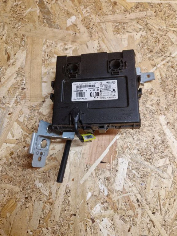 Keyless (KESSY) go control unit/module 95480F1000