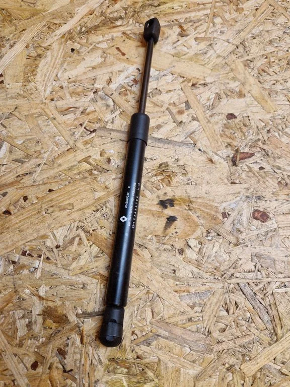 Tailgate strut 904504923R