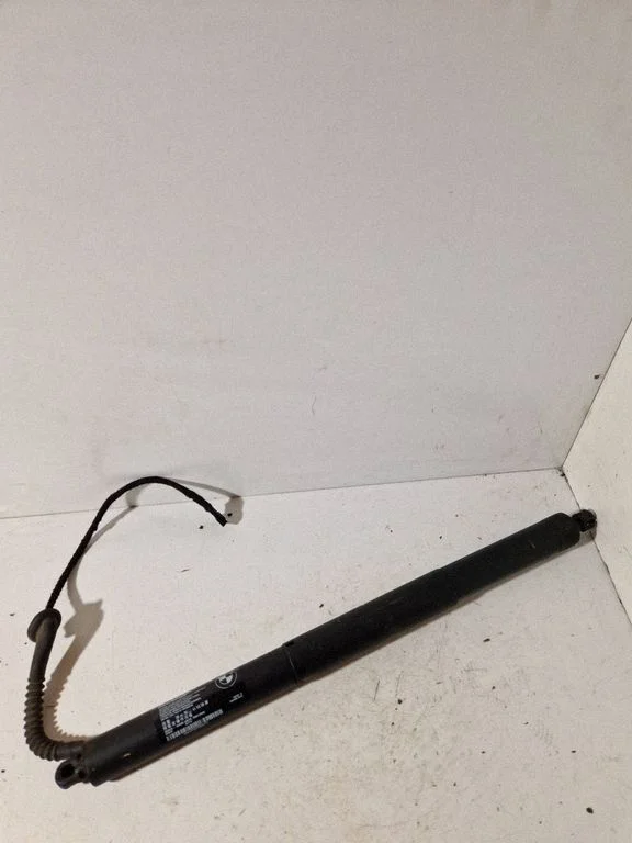 Tailgate strut 7294469