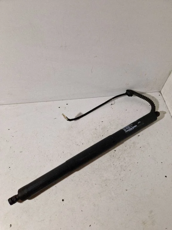 Tailgate strut 7361878