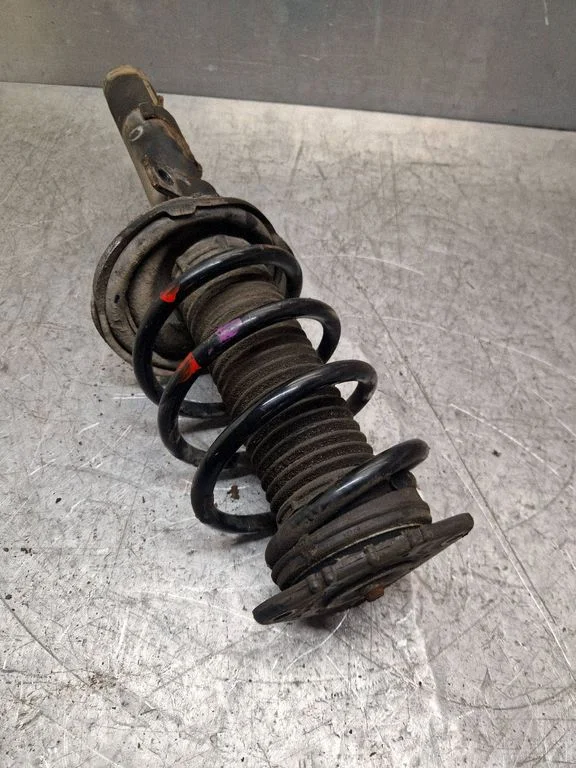 Front shock absorber with coil spring 757460P