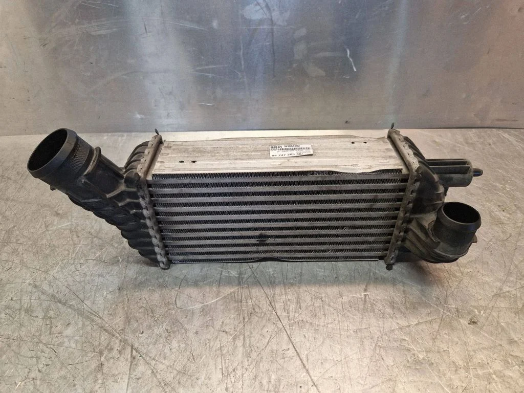 Starpdzesētāja (interkūlera) radiators 9674720580