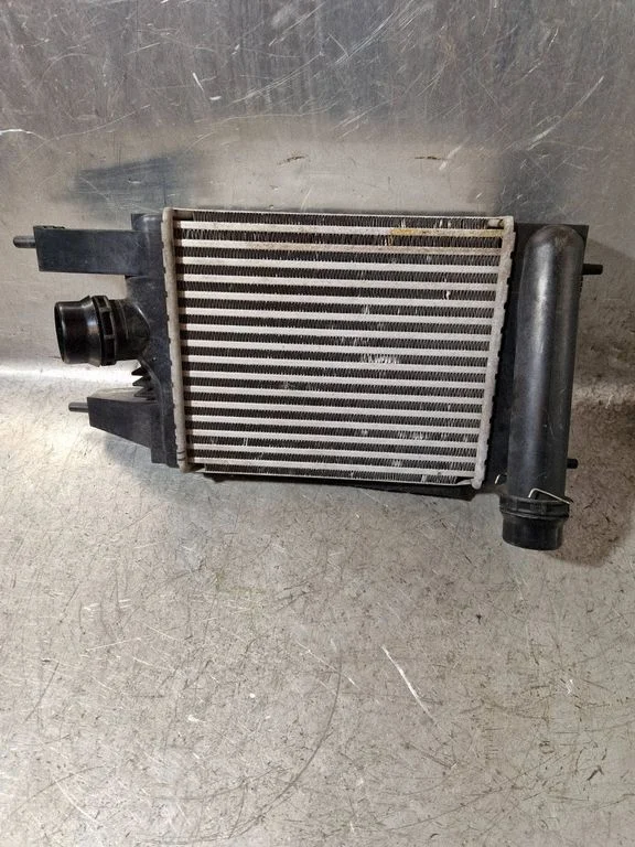 Vahejahuti radiaator – Nissan Juke I F15 (2010-2018)