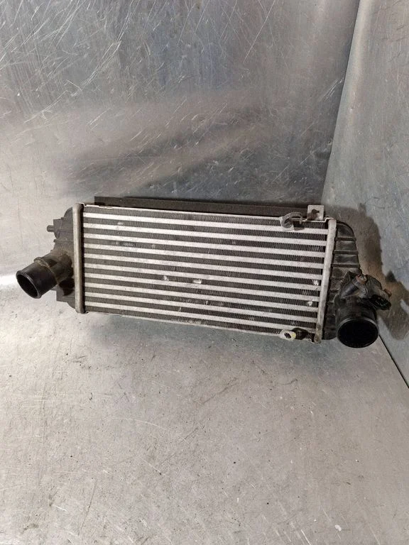 Starpdzesētāja (interkūlera) radiators 292702A800