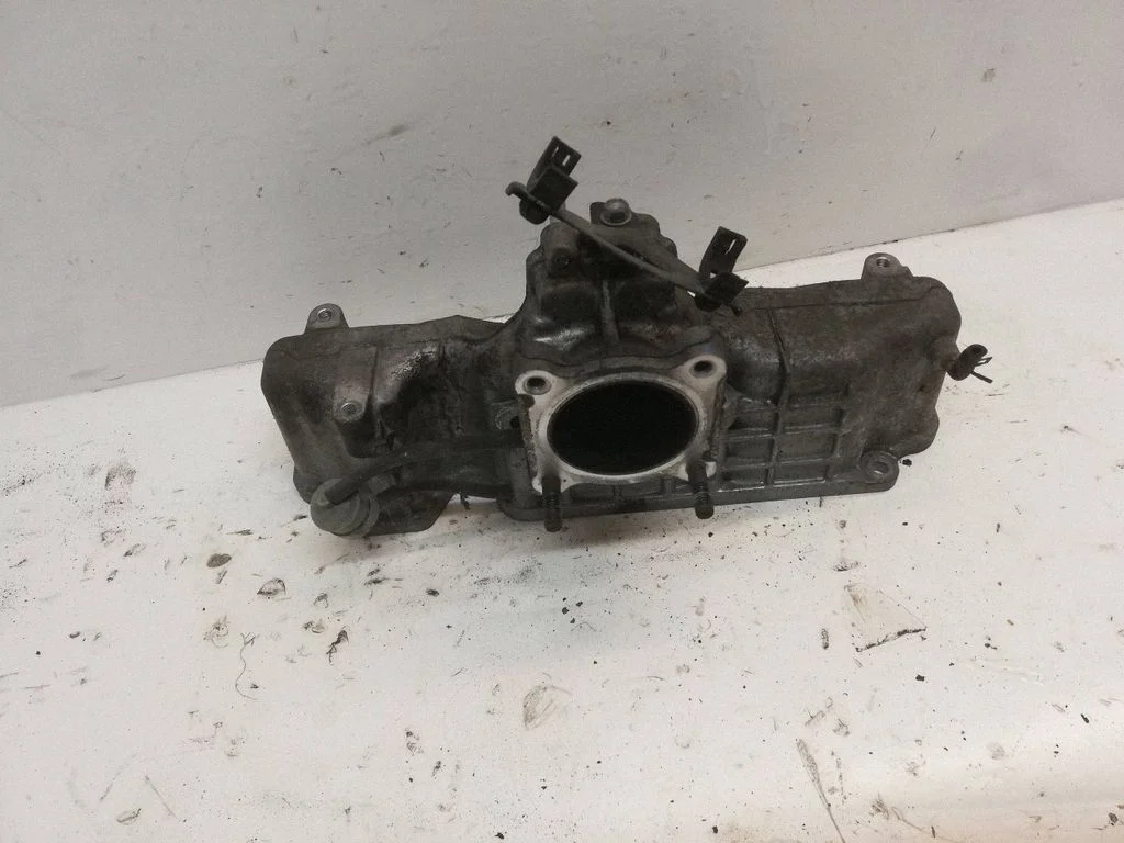 Intake manifold 171110R010