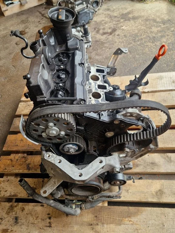 Engine – Seat Ibiza IV (6J,6P) (2008-2017)