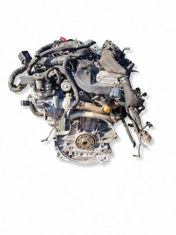 Engine D4204T8