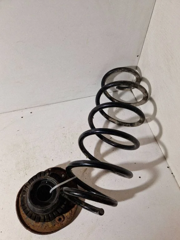 Front coil spring