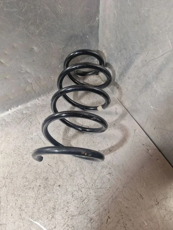 Front coil spring