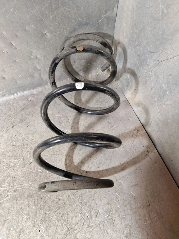 Front coil spring