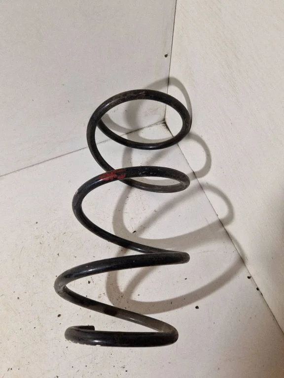 Front coil spring