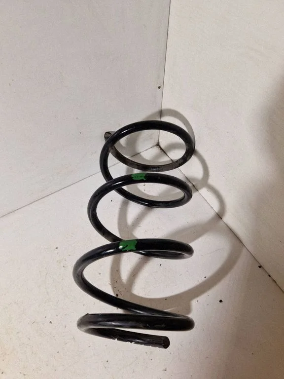 Front coil spring