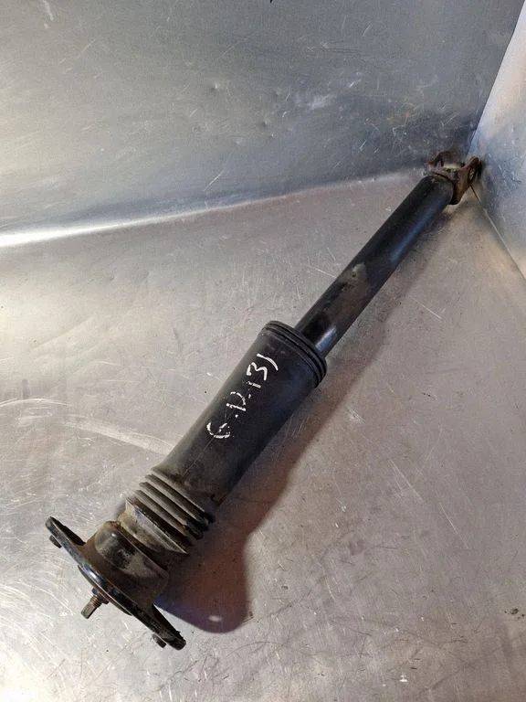 Rear shock absorber/damper 553113Z410