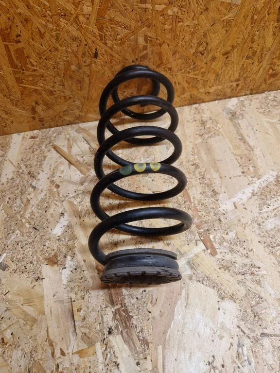 Rear coil spring